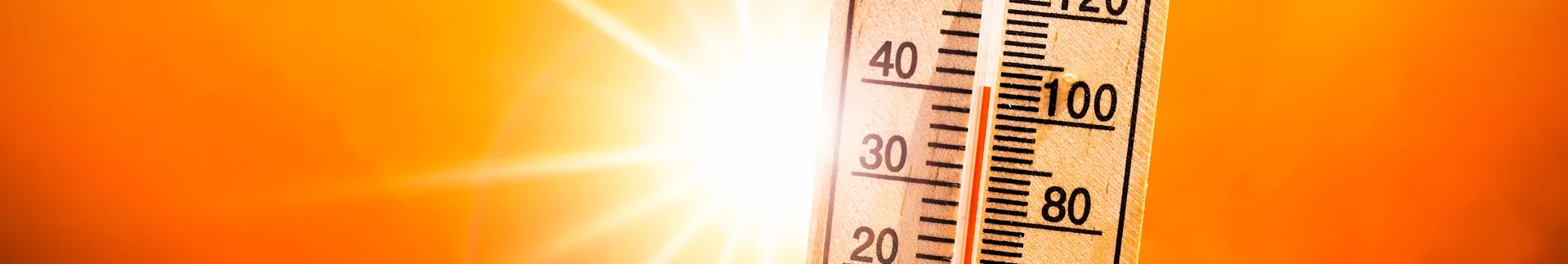 Reduce Heat Article