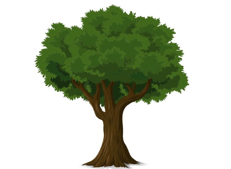 Prepare Your Outdoor Area